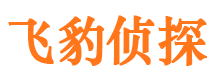 亚东侦探